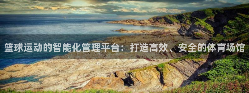 篮球运动的智能化管理平台：打造高效、安全