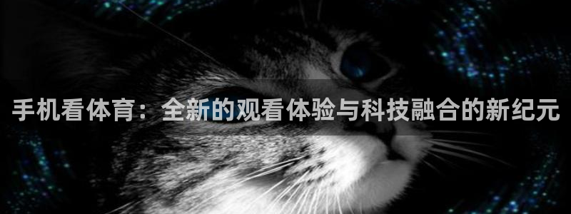 企鹅nba直播