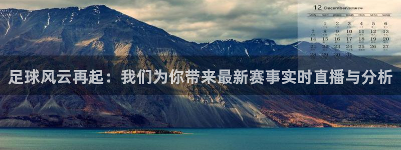 企鹅看球