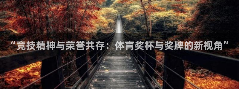 企鹅体育直播免费观看全部：“竞技精神与荣